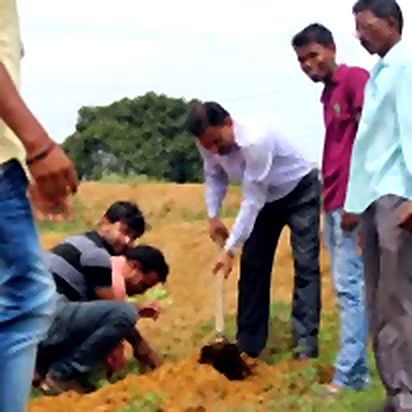 Planting saplings with volunteers